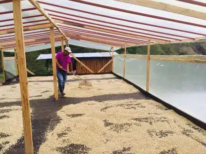 Kaffeabonnement – Røde bær og karamell – Latin-Amerika, 250g - Bilde 7
